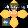 开云APP logo