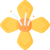 开云APP logo