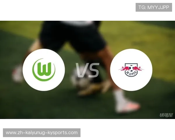 德甲球队科普视频回放合集：新球迷入门指南